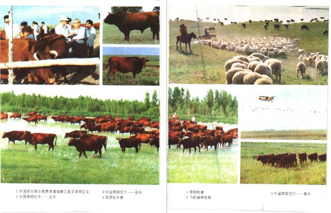 吉林省 通榆县志（一、二） PDF下载