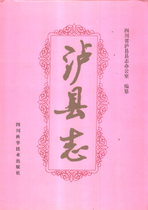 泸县志(1993版)PDF电子版网盘下载