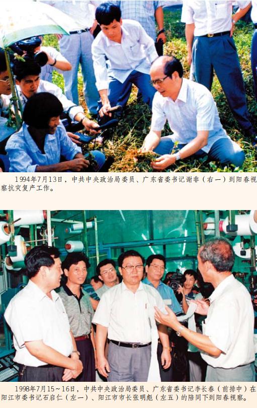 阳春市志（1979-2000）2013版 PDF下载