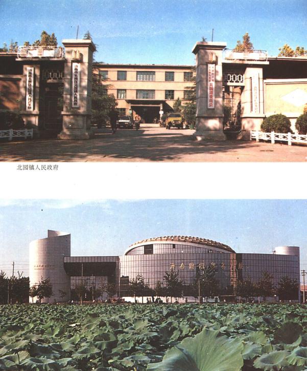 济南市北园镇志（1991版） PDF下载