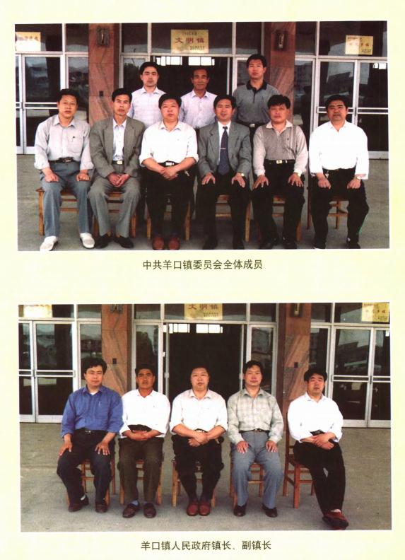 寿光市羊口镇志 1998版 PDF下载