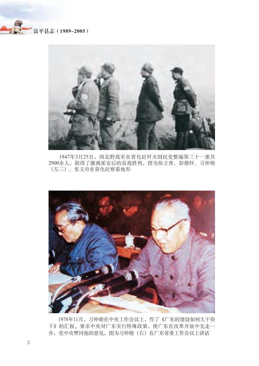 富平县志（1989-2005） PDF下载