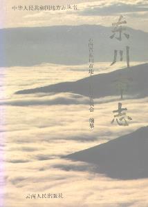东川市志PDF电子版网盘下载