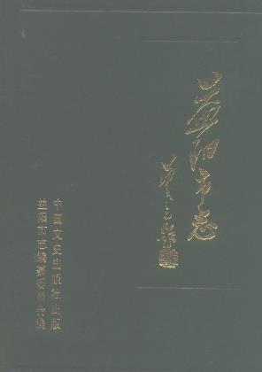 益阳市志PDF电子版网盘下载