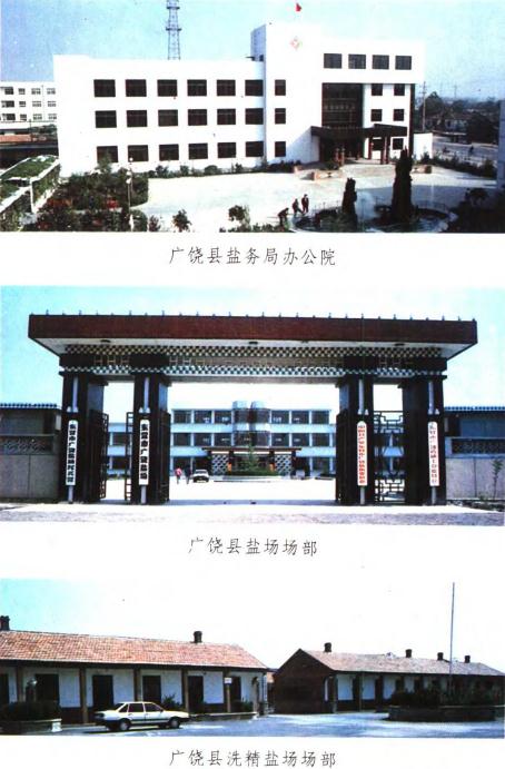 广饶县盐业志 1994版 PDF下载