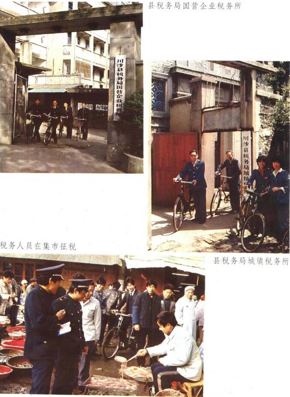 川沙县财政志 1990版 PDF下载