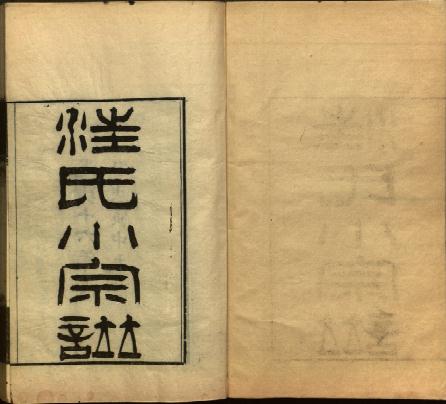 光绪汪氏小宗谱 PDF下载