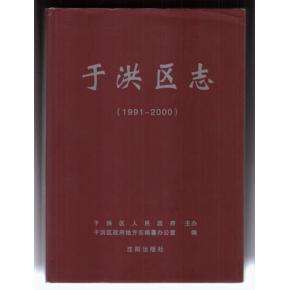 沈阳市于洪区志(全)PDF电子版网盘下载