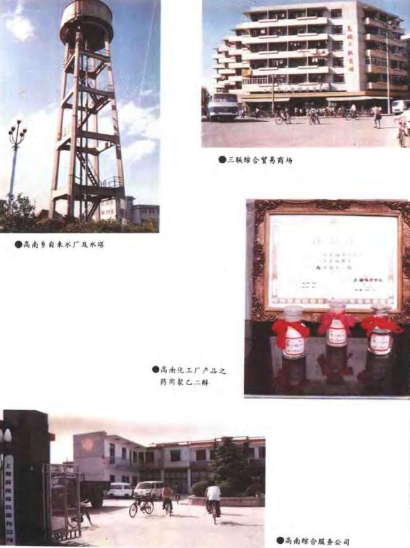 上海市高南乡志（1990版） PDF下载
