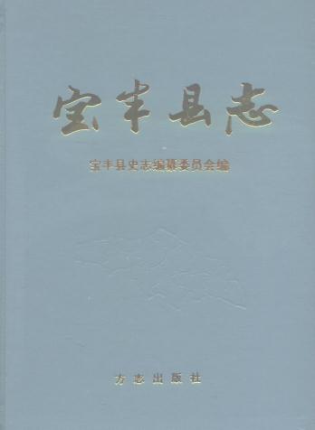宝丰县志 1996版PDF电子版网盘下载