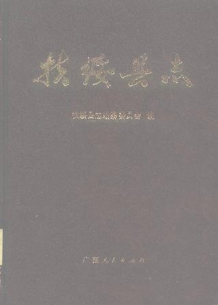 扶绥县志PDF电子版网盘下载