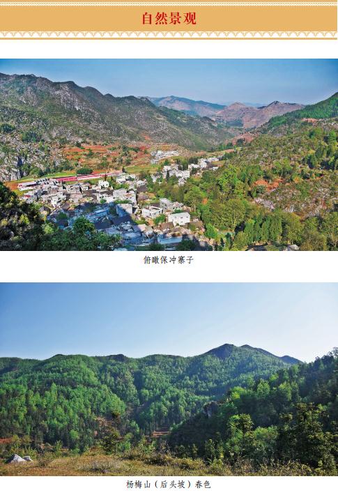 普安县 保冲村志（2018版） PDF下载