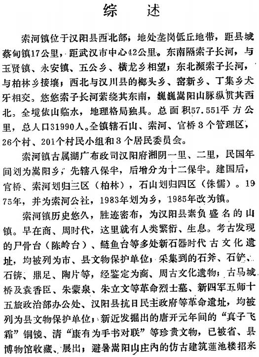 蔡甸区索河镇志 PDF下载