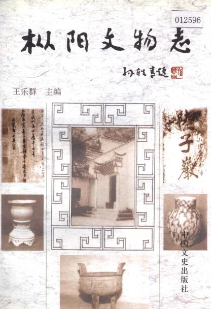 枞阳文物志PDF电子版网盘下载