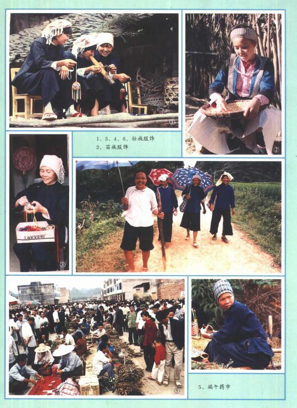 靖西县志（2000版） PDF下载