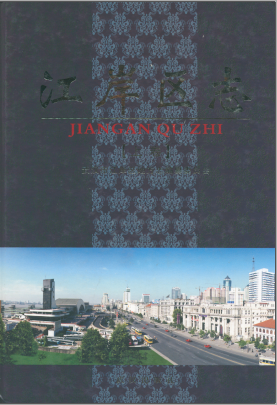 江岸区志(上下)PDF电子版网盘下载