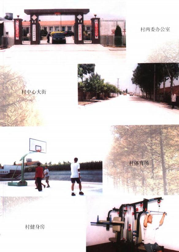 莱西市董格庄村志（2003版） PDF下载