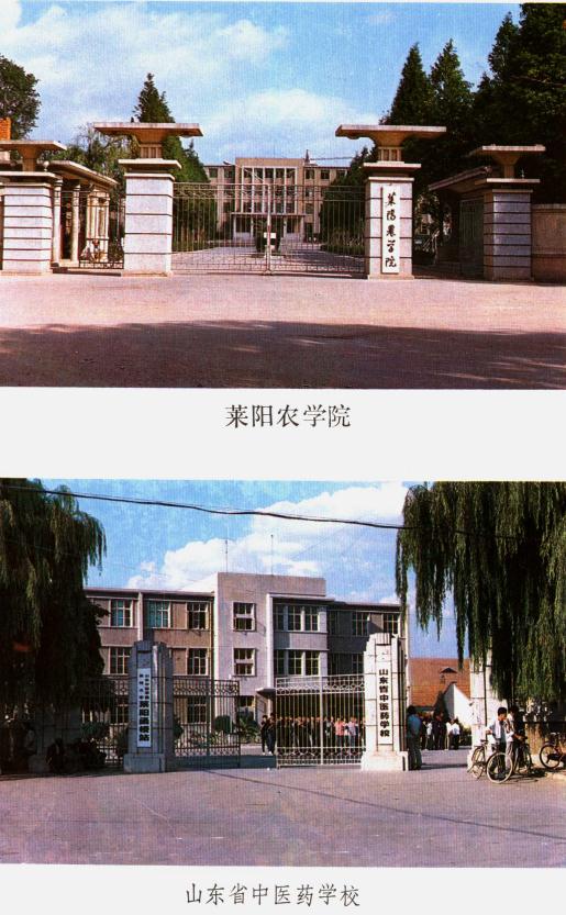 莱阳市地名志（1988版） PDF下载
