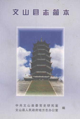 文山县志简本 2005版PDF电子版网盘下载