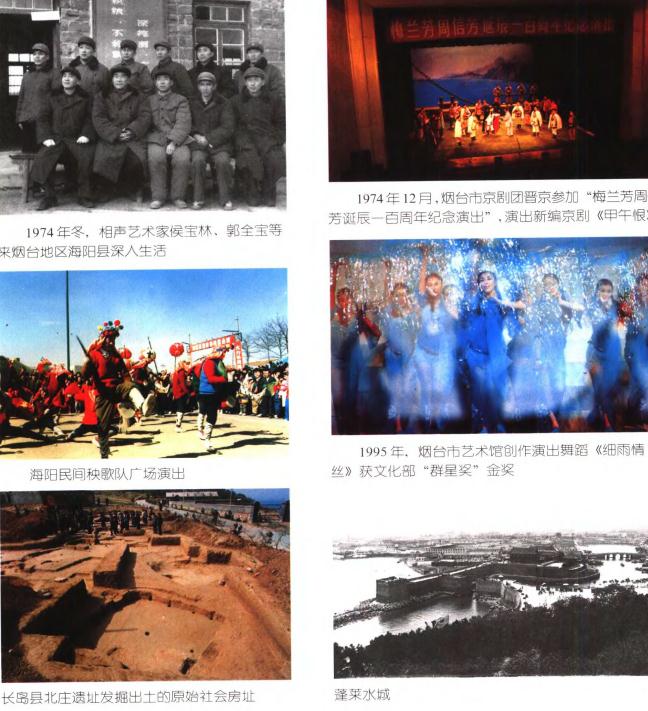 烟台文化志（1999版） PDF下载