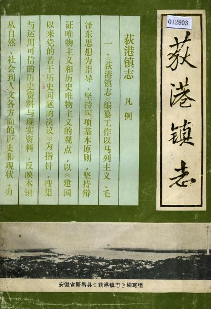 荻港镇志PDF电子版网盘下载
