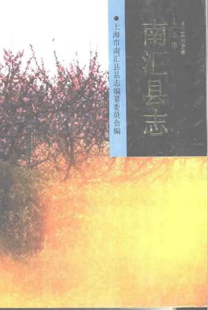 南汇县志PDF电子版网盘下载
