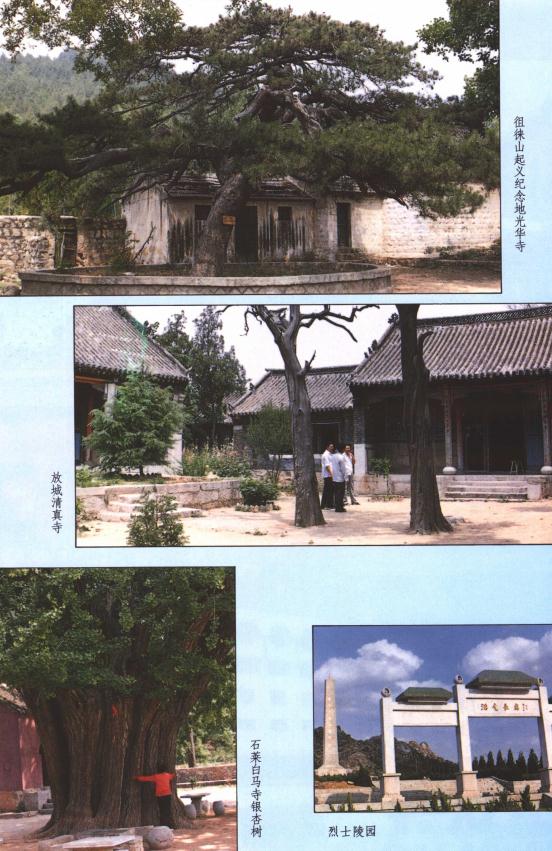 新泰市志 1993版 PDF下载