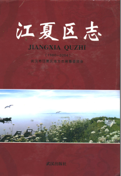 江夏区志PDF电子版网盘下载