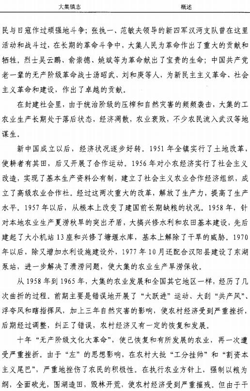 蔡甸区大集镇志 PDF下载