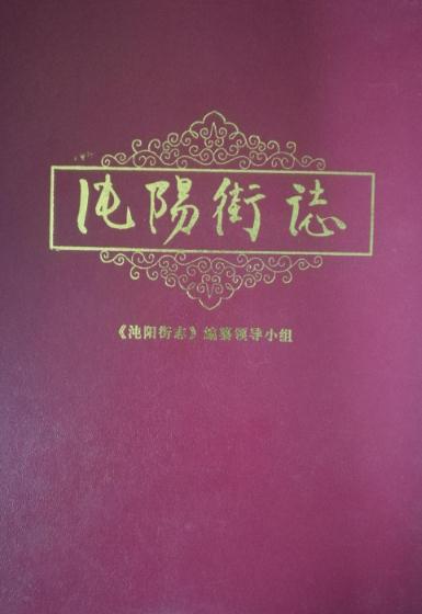 沌阳街志 PDF下载