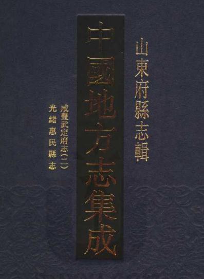 咸丰武定府志 光绪惠民县志 PDF下载