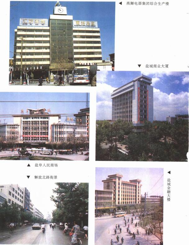 盐城市建设志（1994版） PDF下载