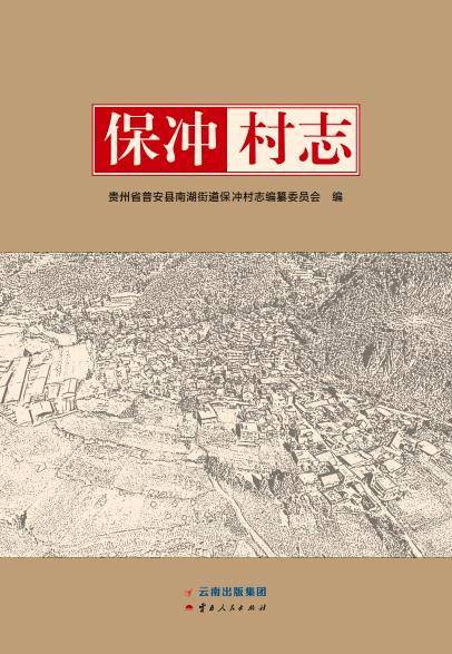 普安县 保冲村志（2018版） PDF下载