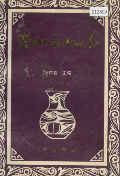 潜山文化志PDF电子版网盘下载