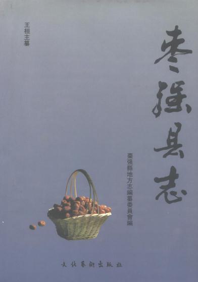 枣强县志（1994版） PDF下载