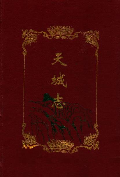 天城志PDF电子版网盘下载