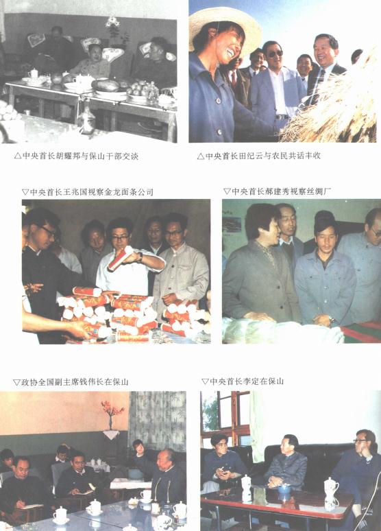 保山市志 1993版 PDF下载
