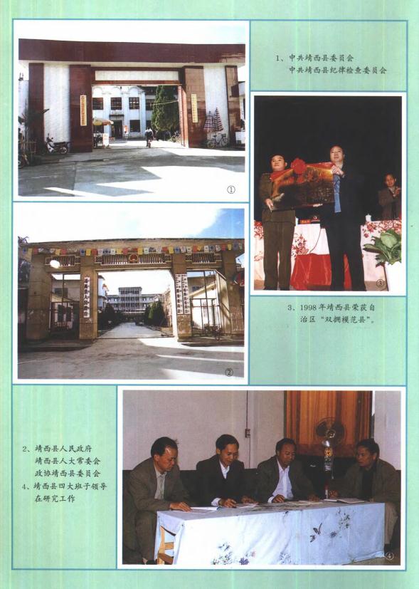 靖西县志（2000版） PDF下载