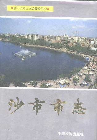 沙市市志(第一卷)PDF电子版网盘下载