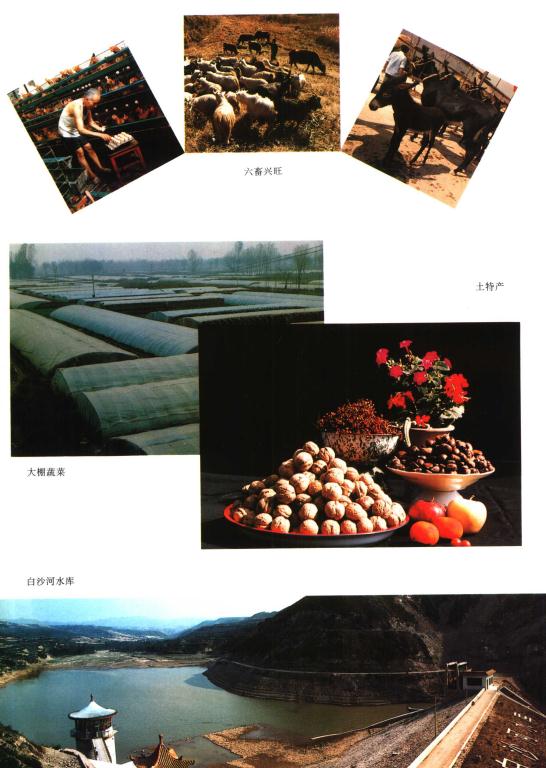 夏县志（1998版） PDF下载