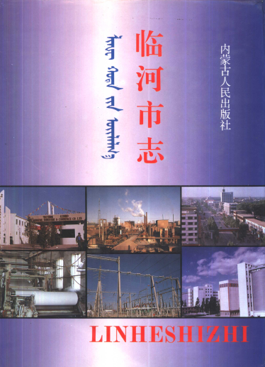 临河市志PDF电子版网盘下载