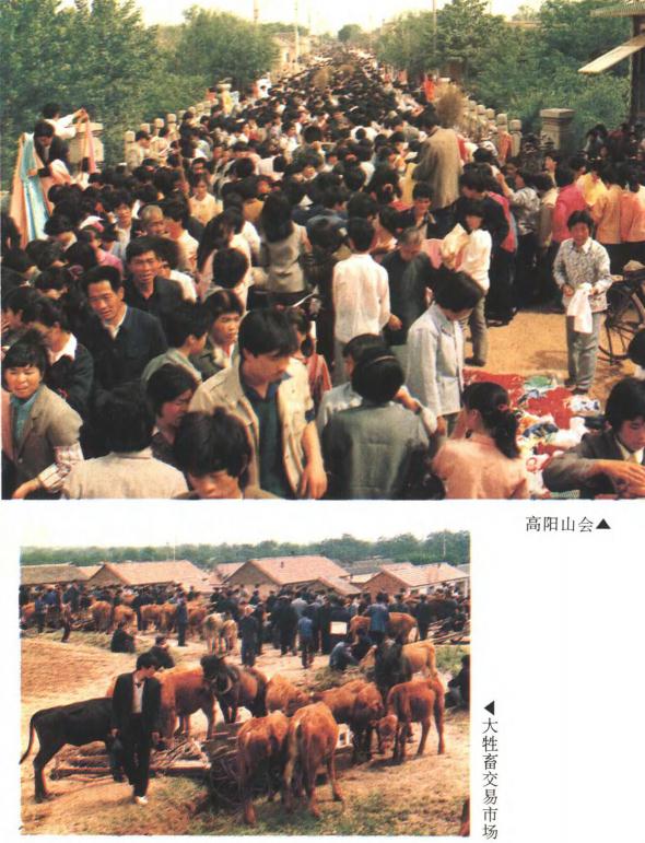 于维国编：山东省昌邑市高阳志 1996版 PDF下载