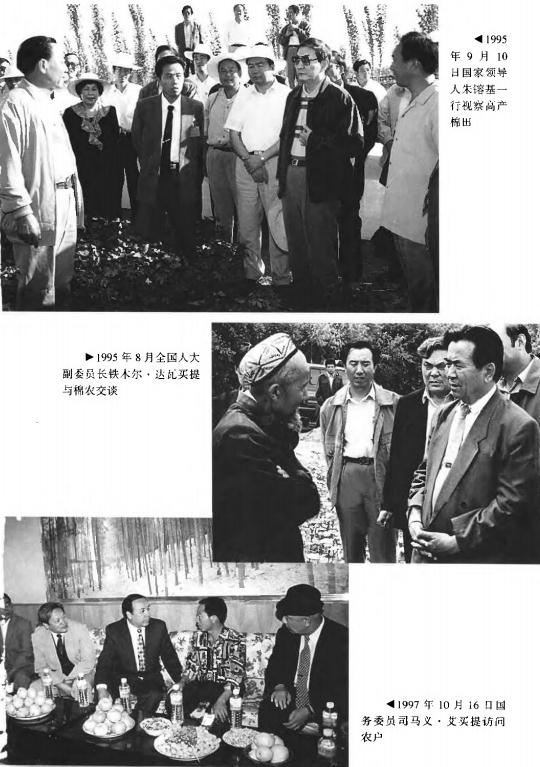 阿瓦提县志（1999版） PDF下载