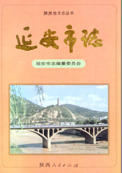 延安市志PDF电子版网盘下载