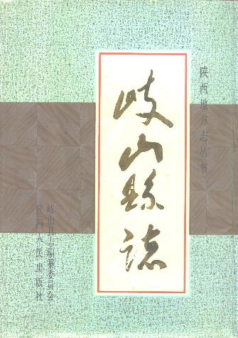 岐山县志PDF电子版网盘下载