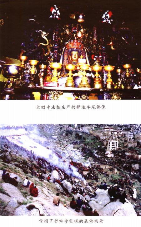 西藏风物志（2005版） PDF下载
