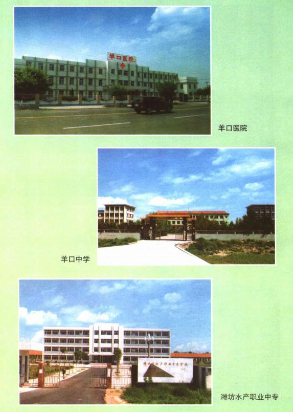 寿光市羊口镇志 1998版 PDF下载