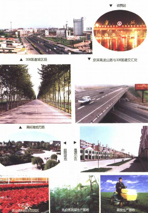 栾城百年新闻录（1901-2000） PDF下载
