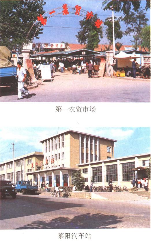 莱阳市地名志（1988版） PDF下载