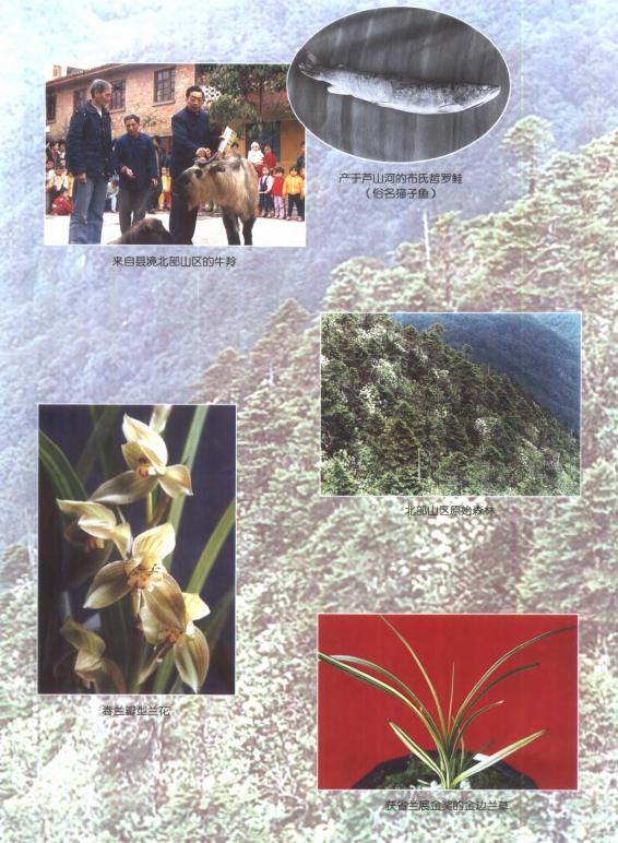 芦山县志 2000版 PDF下载